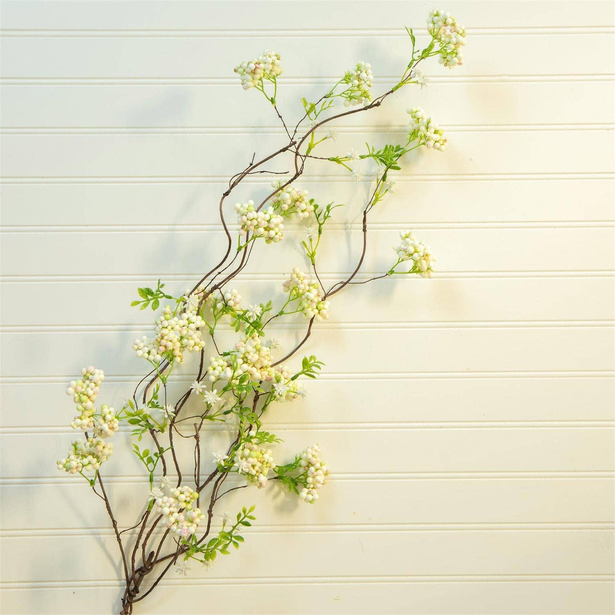 Branch - Arabian Jasmine (Pk/06)