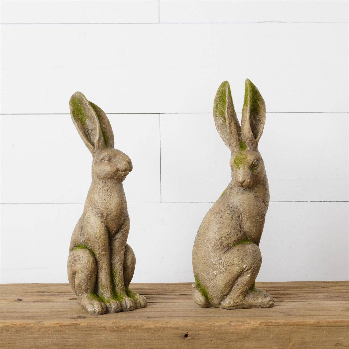 Mossy Rabbits (Pk/02 Ast)