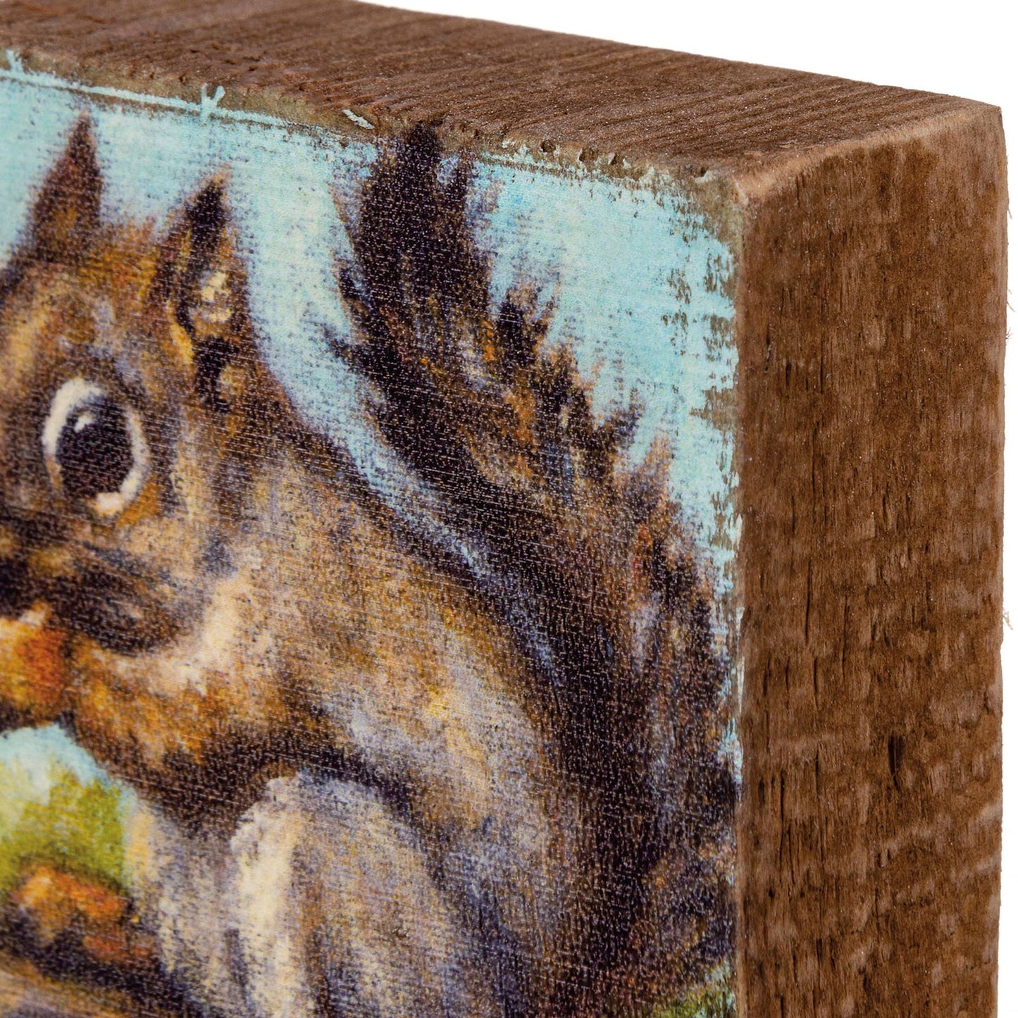Squirrel Block Sign