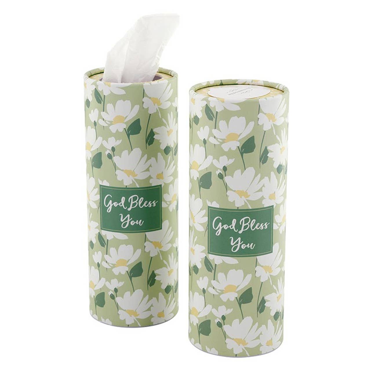 Tissue Display - Daisy