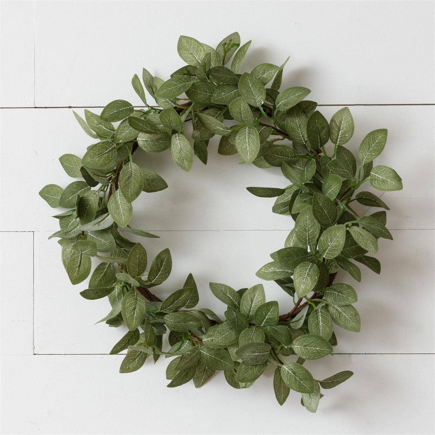 Fittonia Wreath (PC) | SALE | Faux Floral