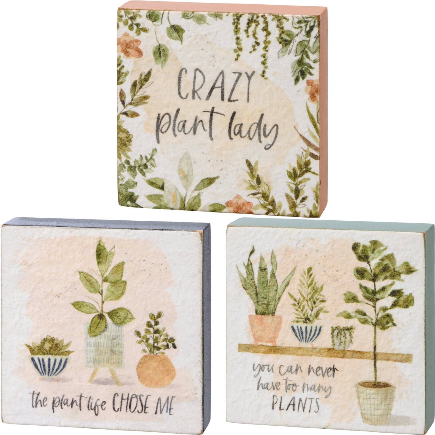 Plant Life Block Sign Set