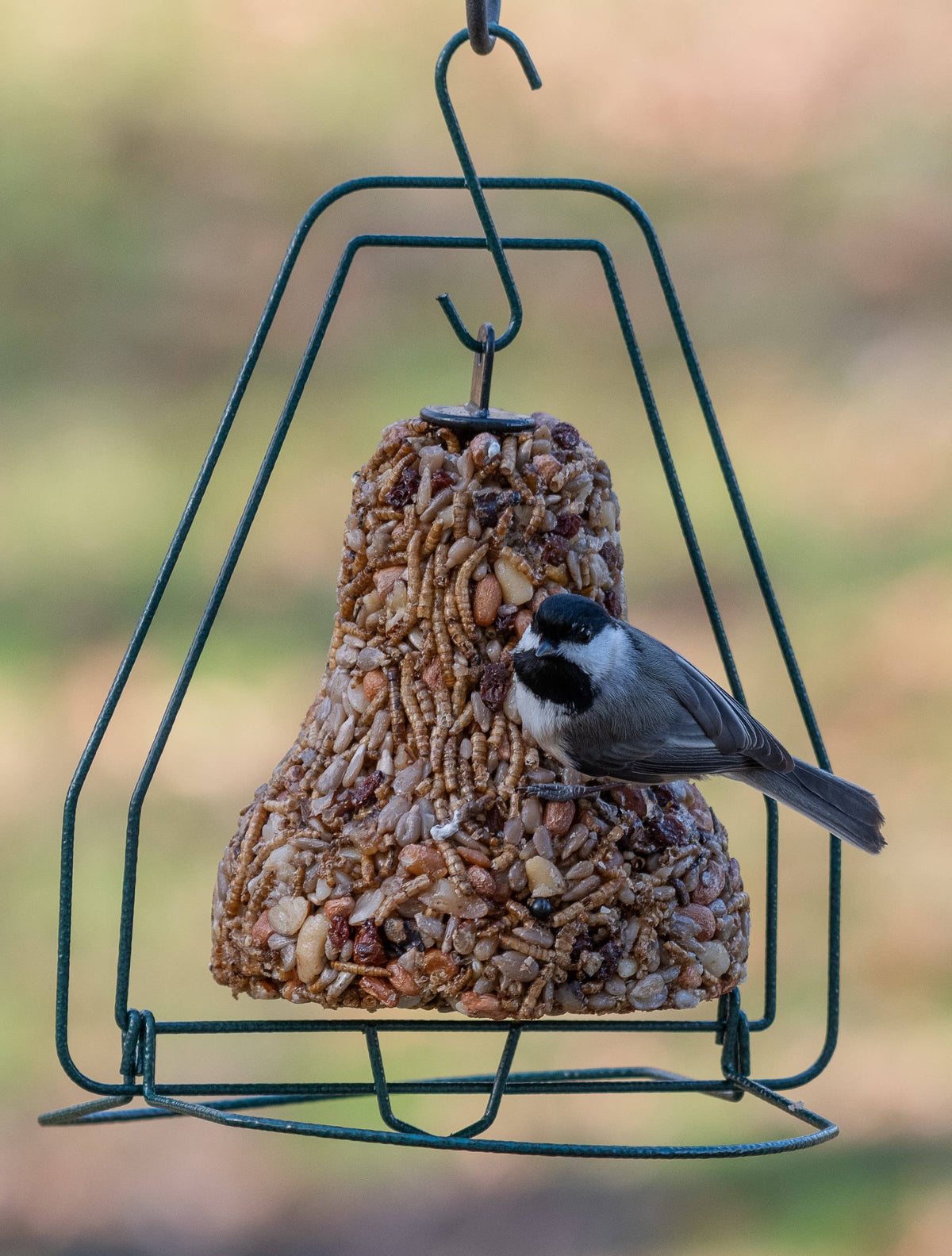 Bugs, Nuts & Fruit - Bell