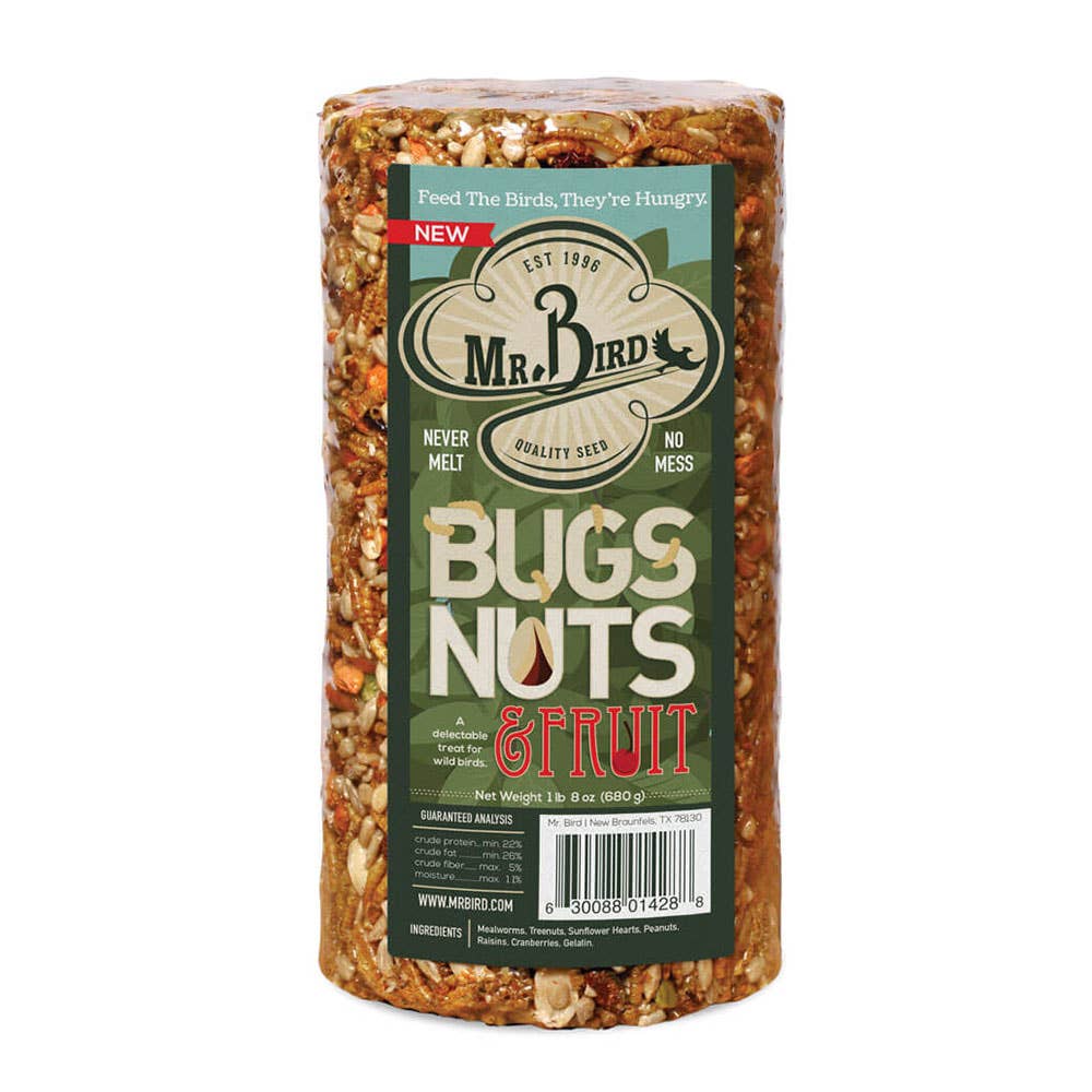 Bugs, Nuts, & Fruit Cylinder - Small