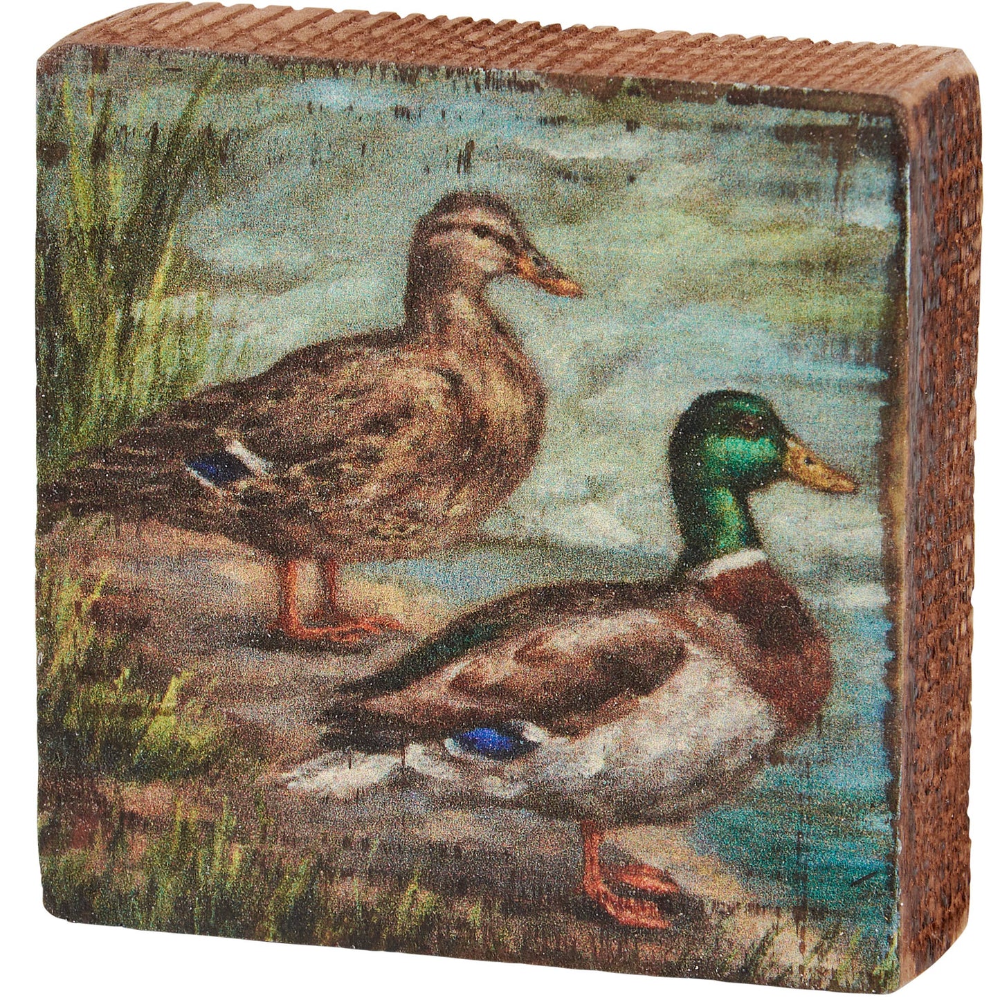 Mallard Ducks Block Sign