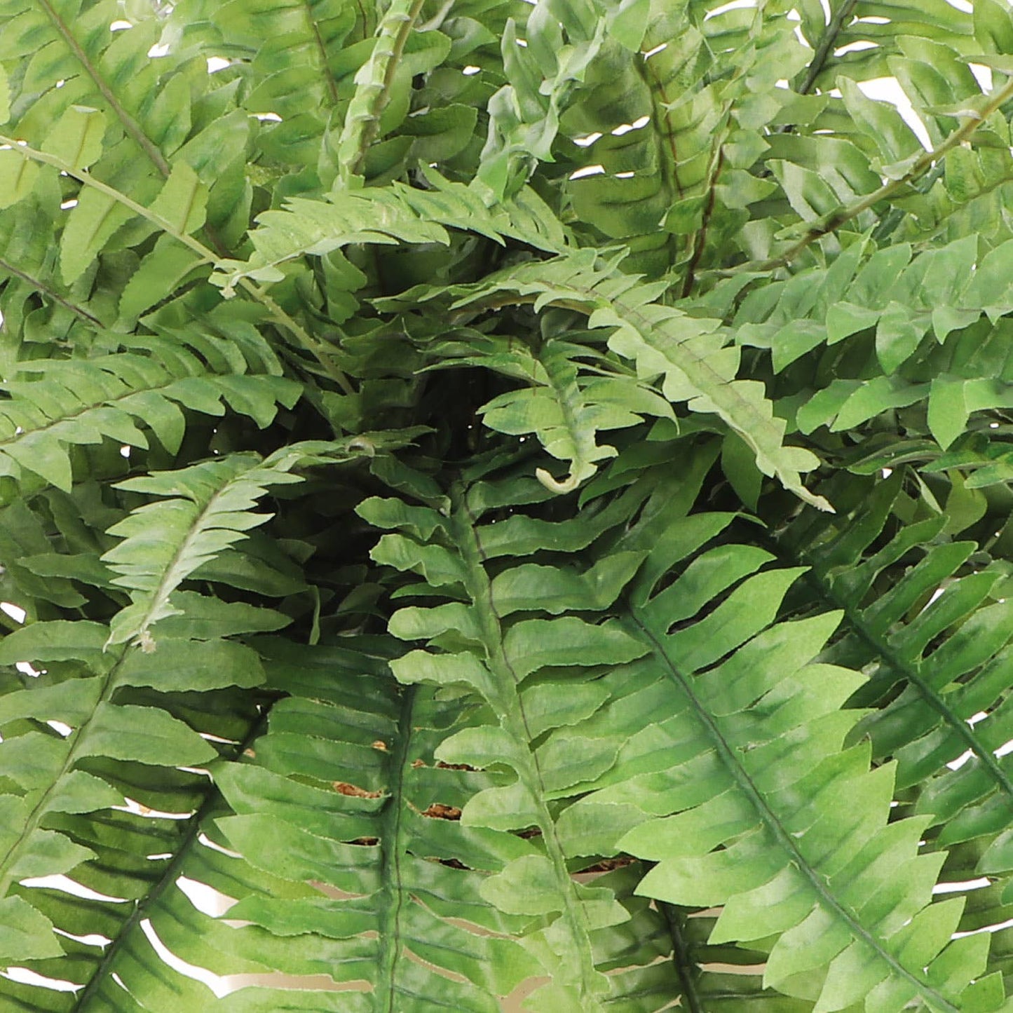 Boston Fern Plant With 88 Realistic Silk Fronds, 48" Wide