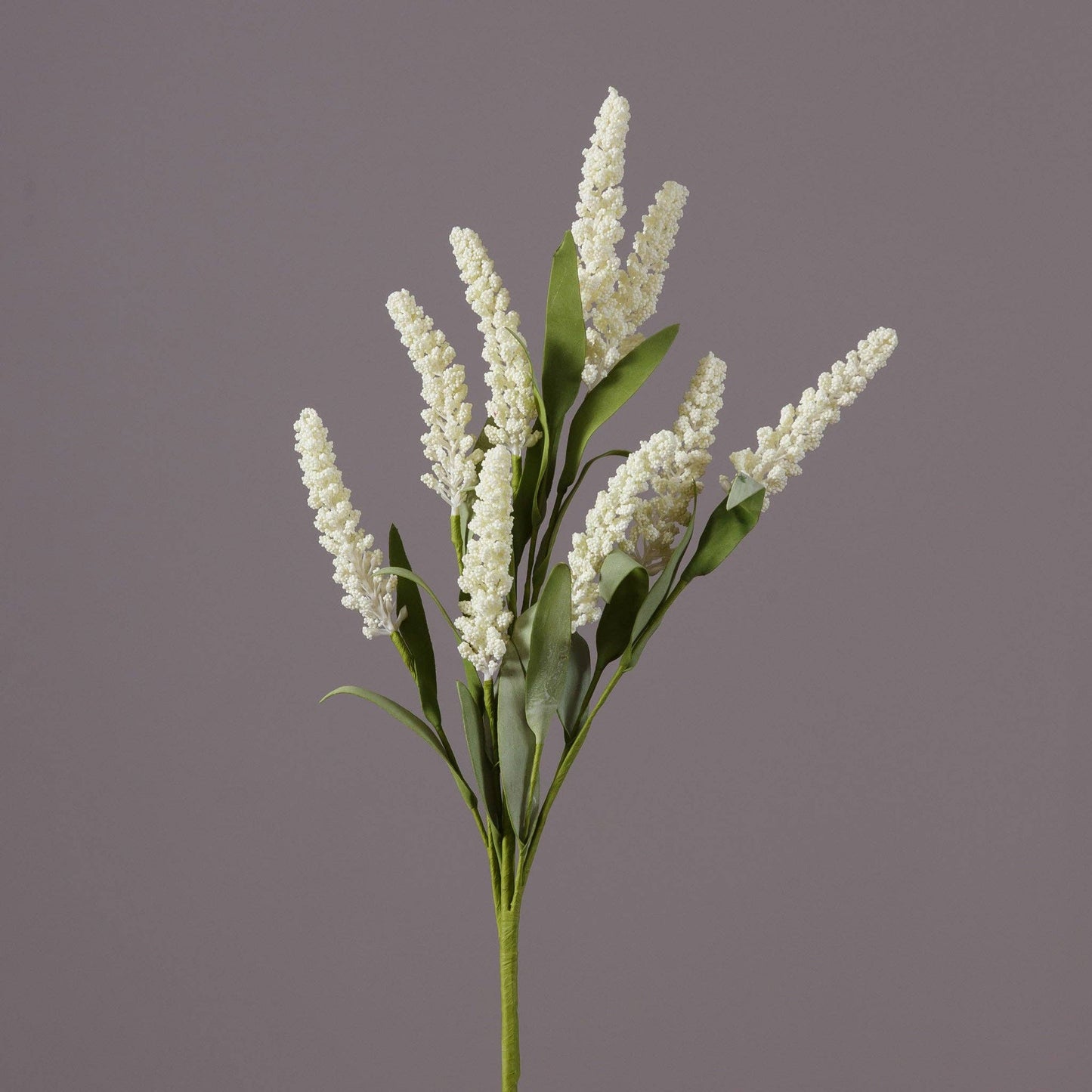 Pick - White Spike Flowers, Foliage (Pk/05)