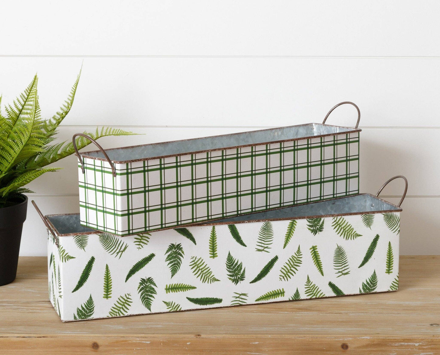 Nested Rectangular Fern Tin