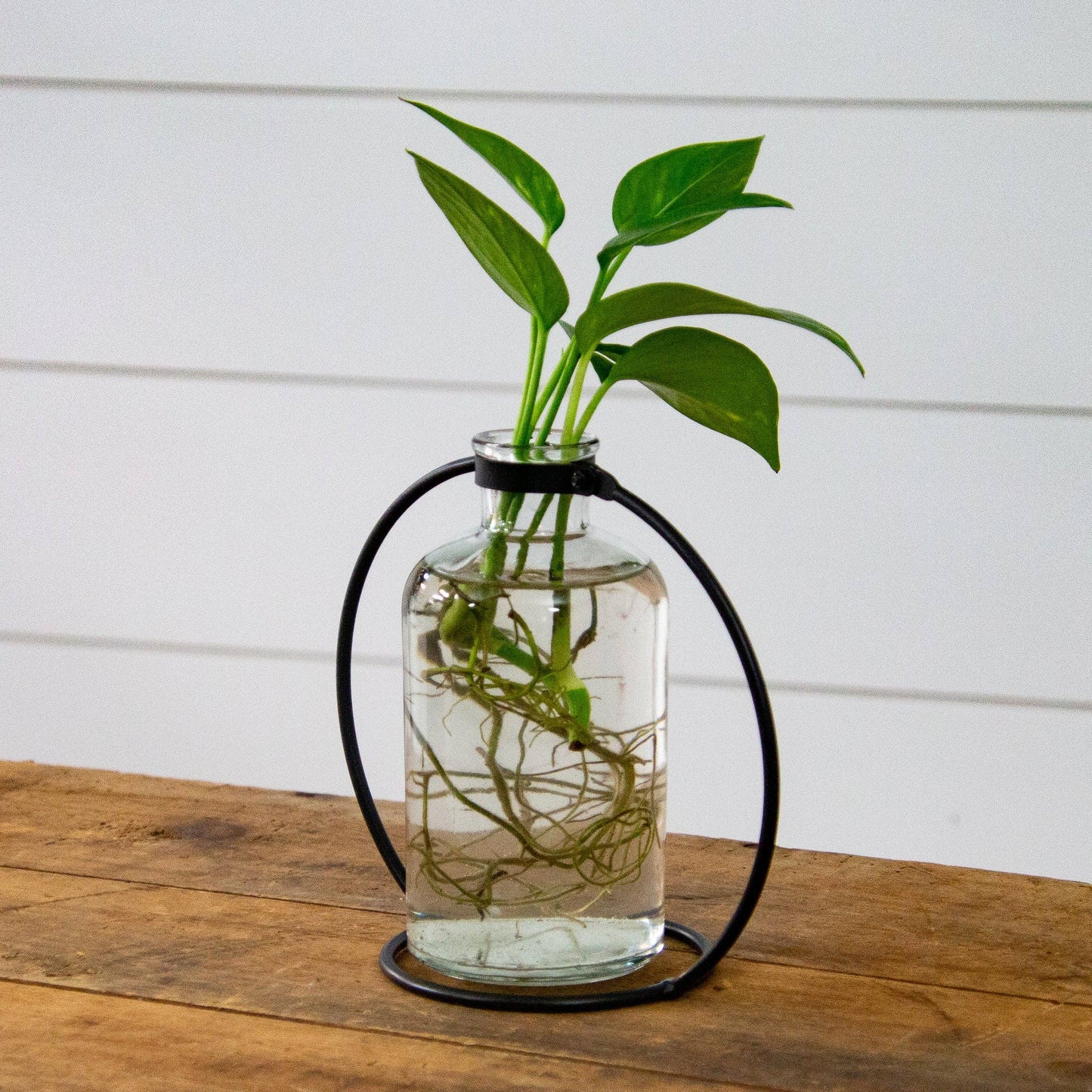 Stem Vase With Metal Stand, Sm (PC)