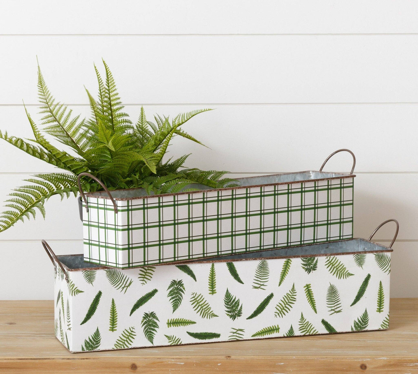 Nested Rectangular Fern Tin