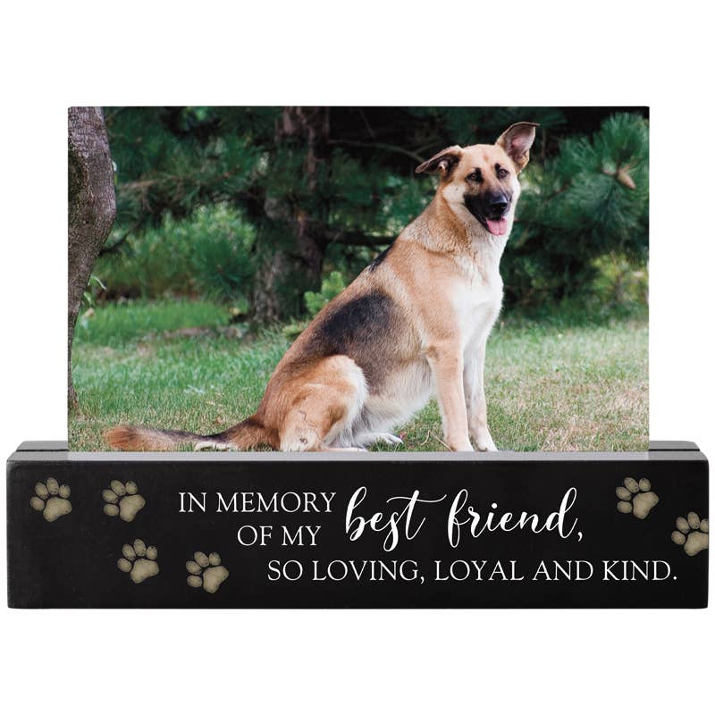 "Pet Memory" Photo Bar