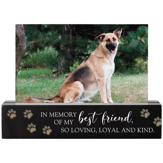 "Pet Memory" Photo Bar