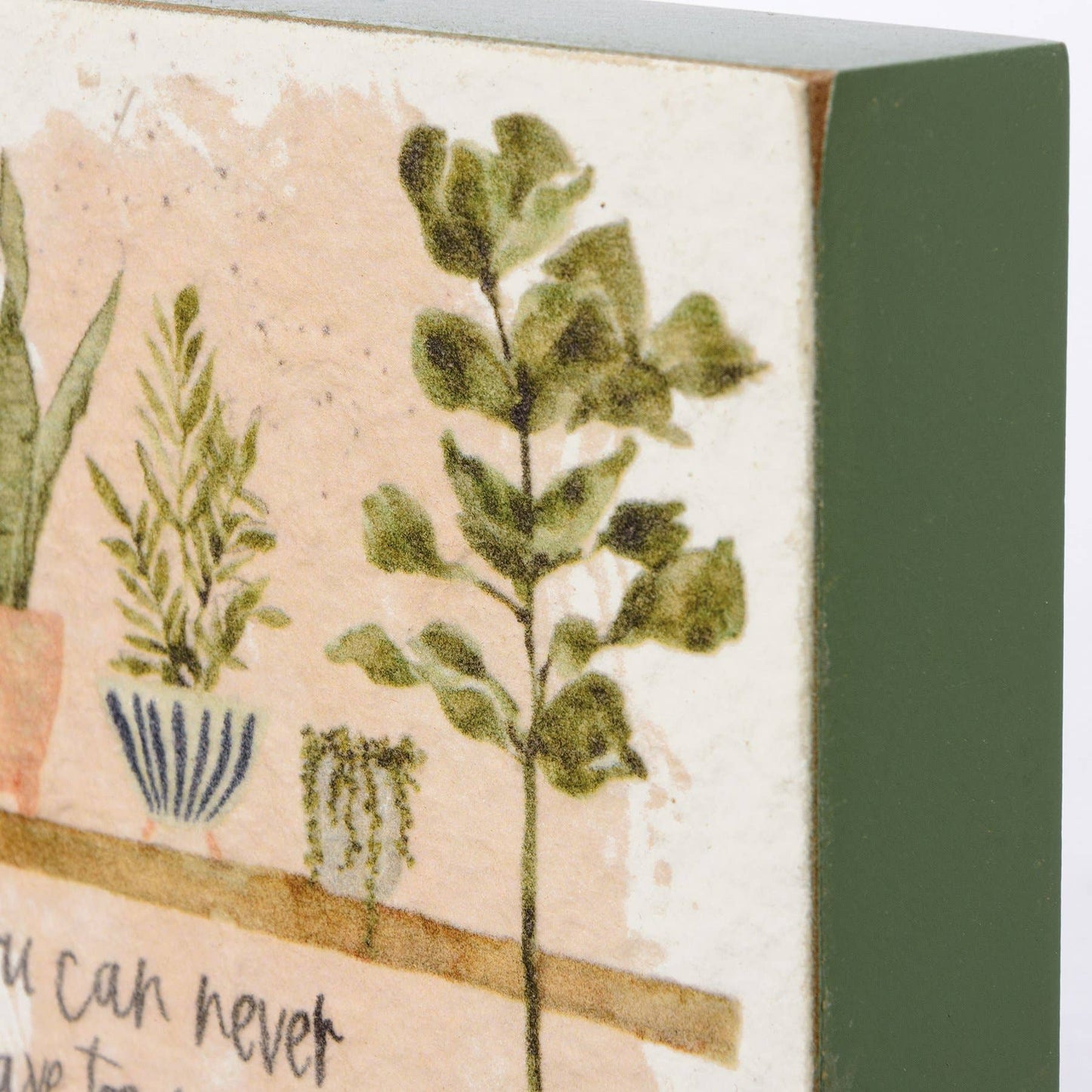 Plant Life Block Sign Set