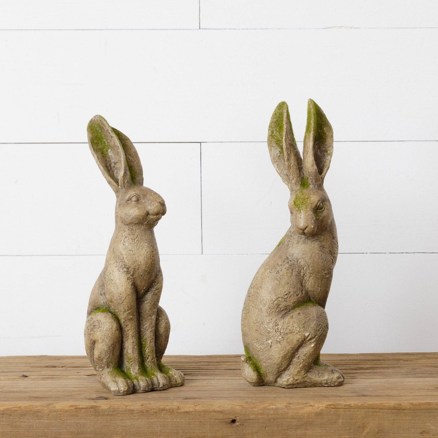 Mossy Rabbits (Pk/02 Ast)