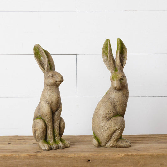 Mossy Rabbits (Pk/02 Ast)