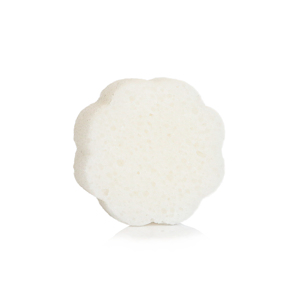 Soap Sponge