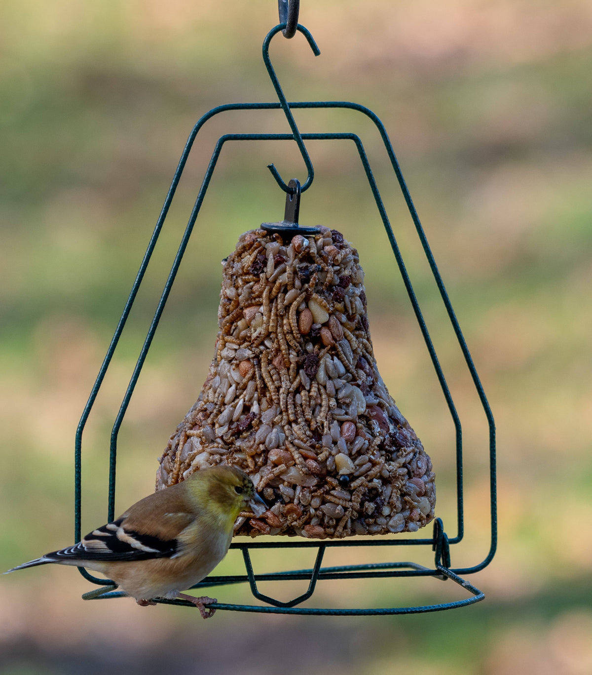 Bugs, Nuts & Fruit - Bell