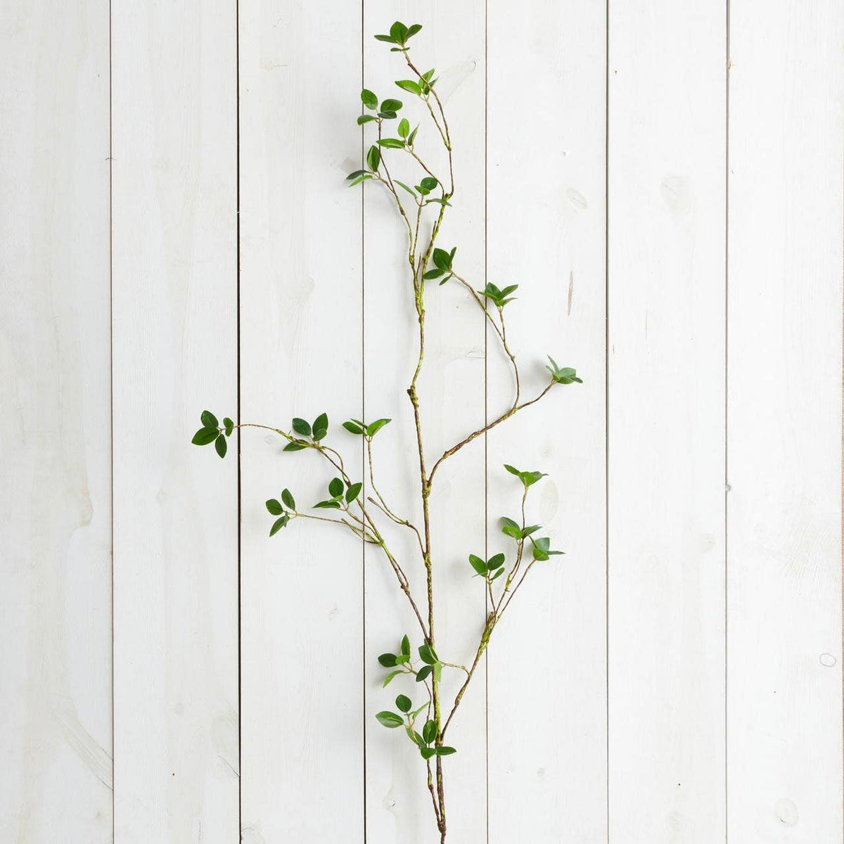 Branch - Lemon Leaf (PC)
