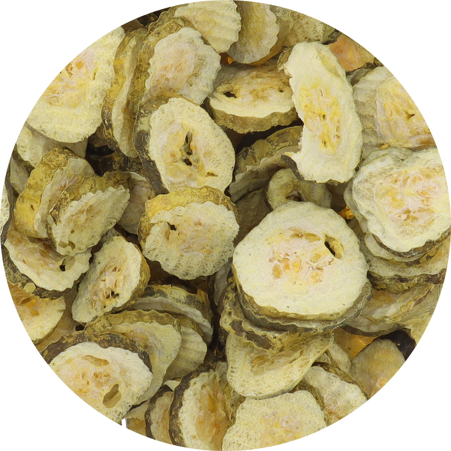 Freeze Dried Dill Pickle Jumbo Chips (Salty)