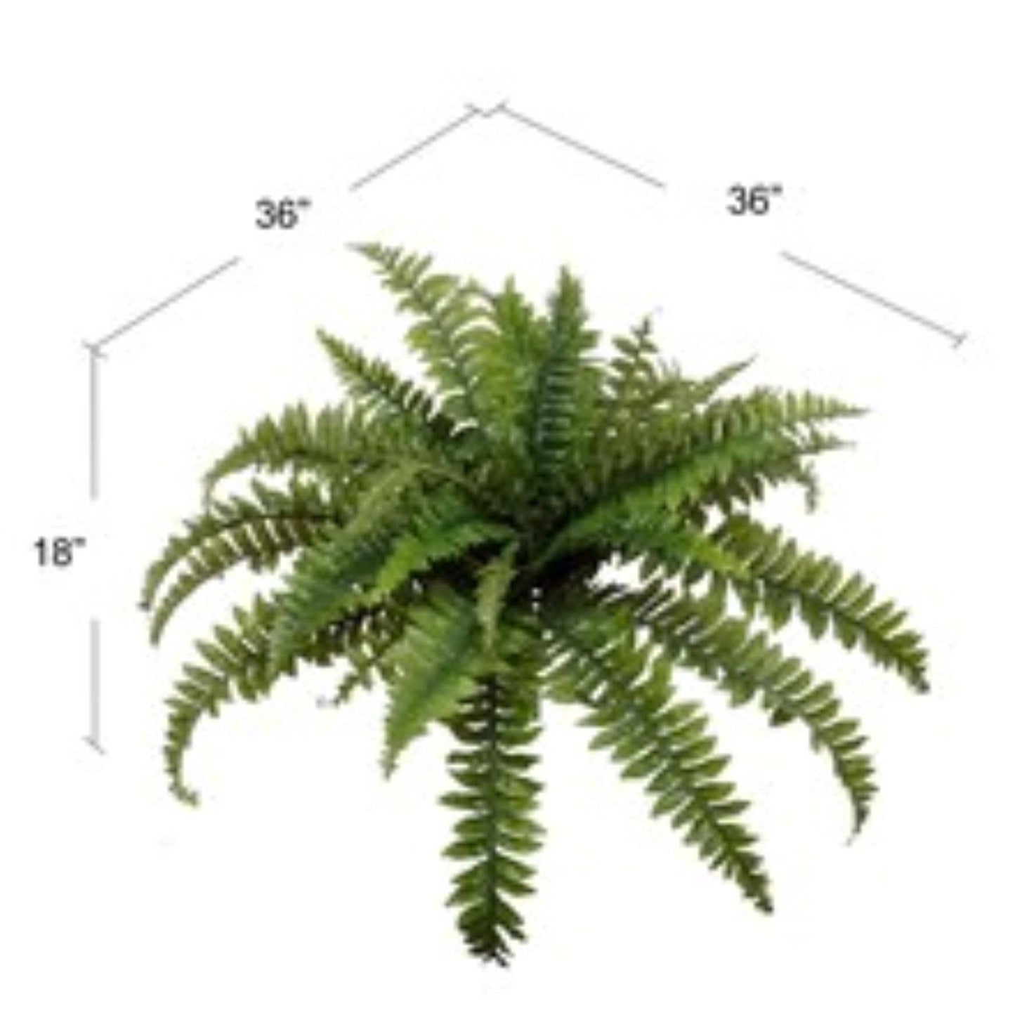 48" Boston Fern Plant - Indoor/Outdoor Faux Fern