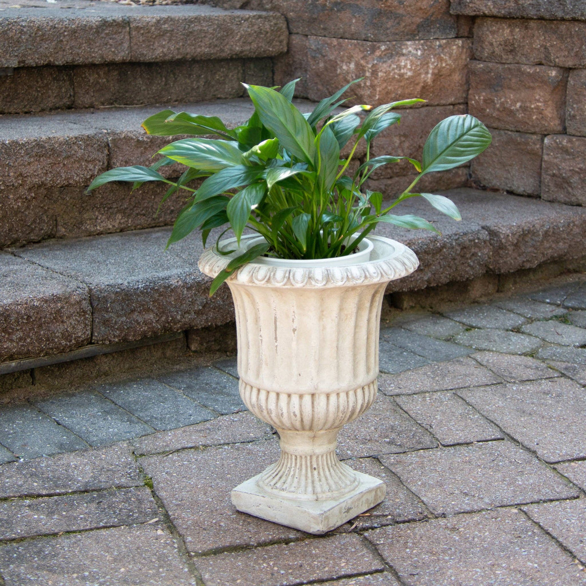 Cement Planter - Urn (PC)