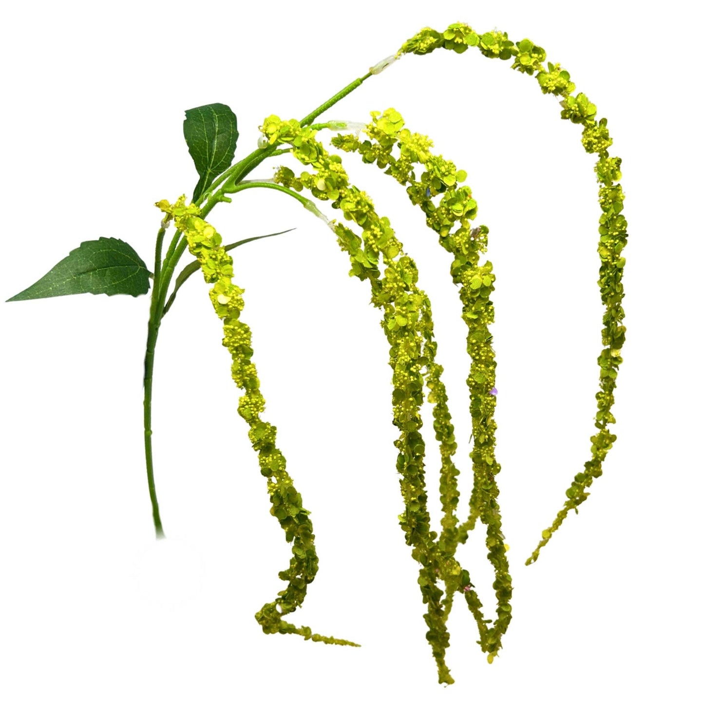 Hanging Amaranthus Spray 34" Lime