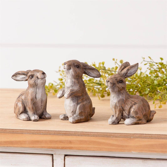 Mini Wild Rabbit