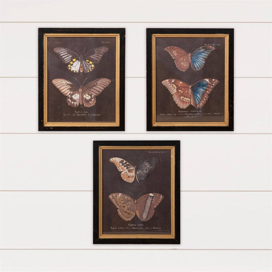 Framed Prints - Vintage Butterflies