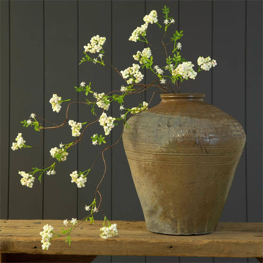 Branch - Arabian Jasmine (Pk/06)