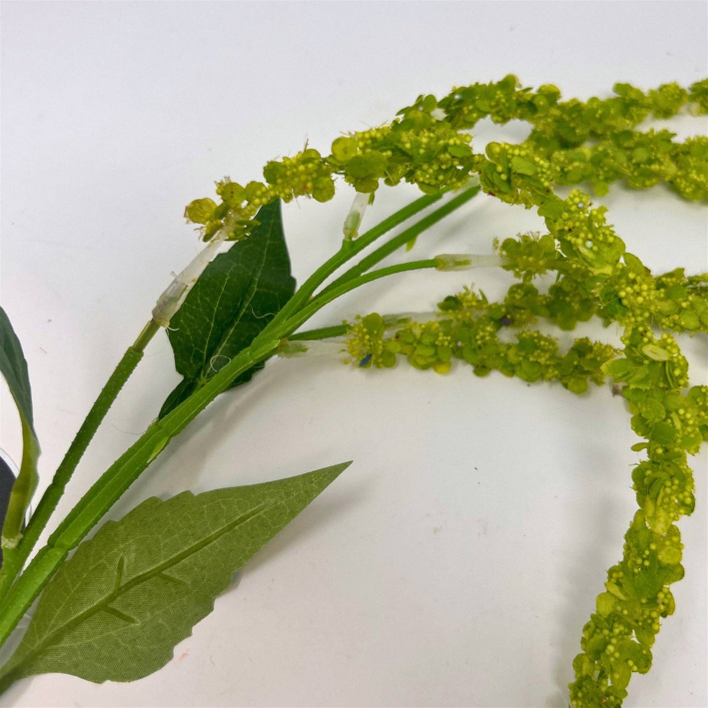 Hanging Amaranthus Spray 34" Lime