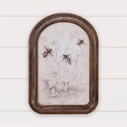 Framed Print - Bee (PC)
