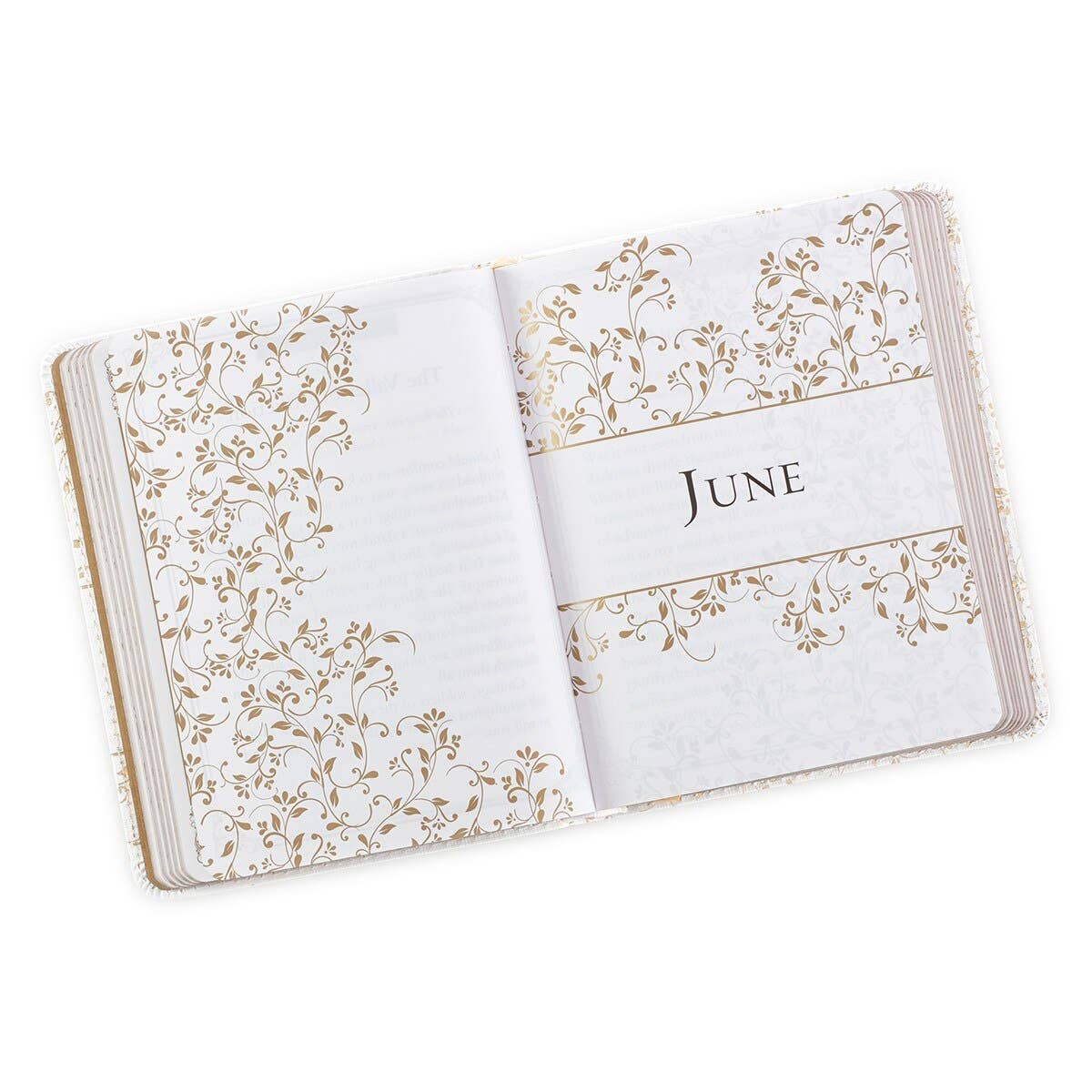 One-Minute Devotions Morning by Morning Faux Leather