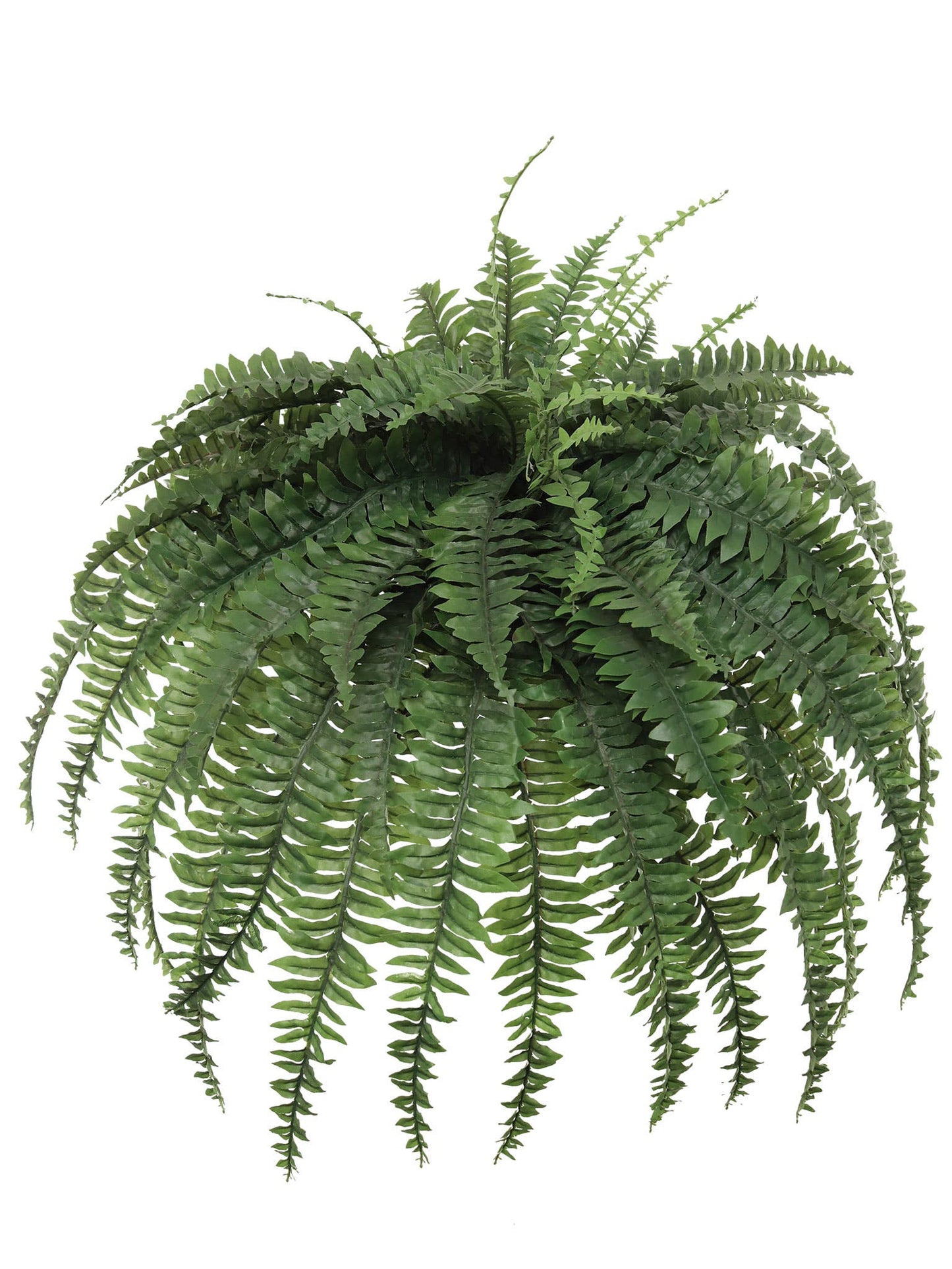 Boston Fern Plant With 88 Realistic Silk Fronds, 48" Wide