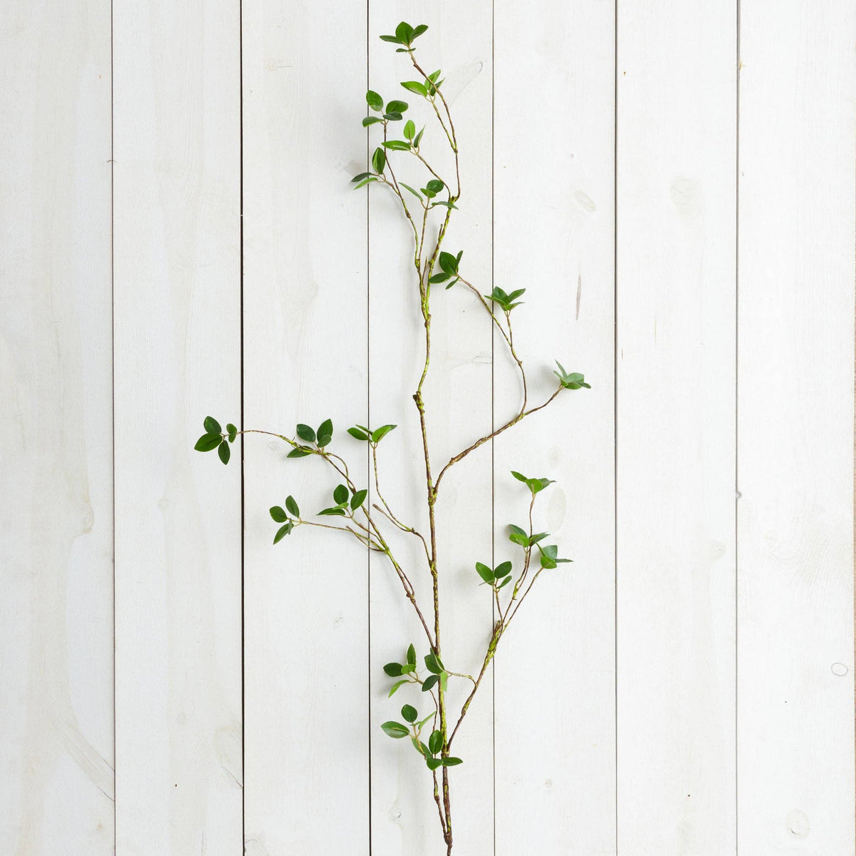 Branch - Lemon Leaf (PC)