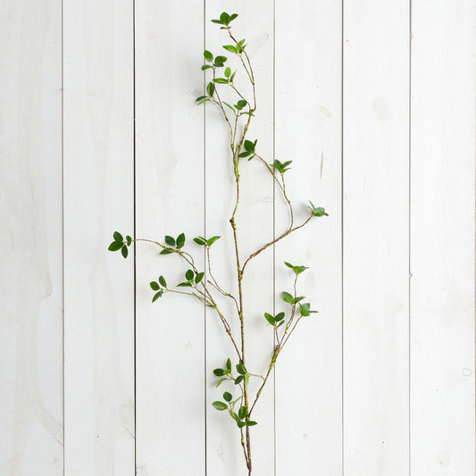 Branch - Lemon Leaf (PC)